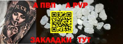 стаф Тара